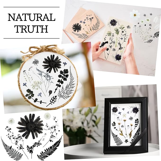 Nuanchu Black White Dried Pressed Flowers - Image 6