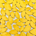 500g/1.1lb Leaf-Shaped Ceramic Mosaic Tiles, Ceramic Mosaic Pieces by Unknown