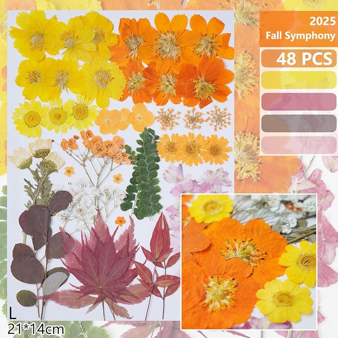 15Types 48Pcs Fall Real Dried Pressed Flowers Maple Leaf Plant Herbarium - Image 2