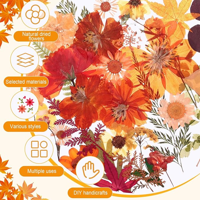 100 Pcs Fall Dried Pressed Flowers, Real Orange Dried Wildflowers Leave - Image 7