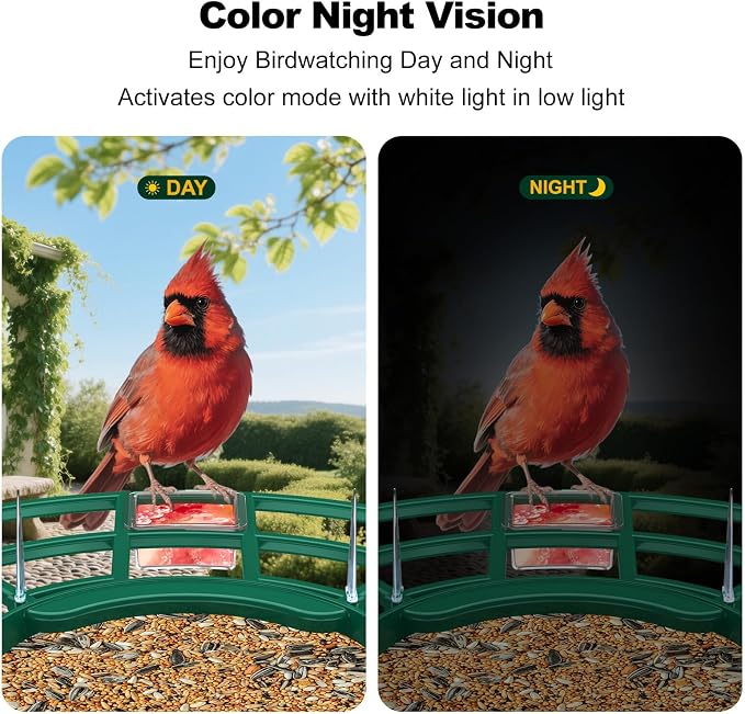 Bird Feeder with Camera, AI Identify Birds Species, FHD WiFi Outdoor Smart Bird - Image 6