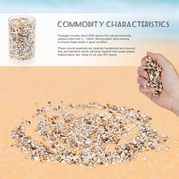 2000 Pcs Tiny Sea Shells for Crafting, Mixed Ocean Beach Mini Seashells Bulk - Image 7