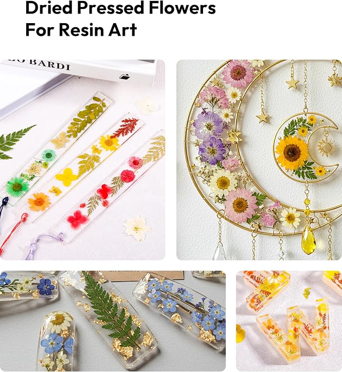 Dried Pressed Flowers, Resiners Dried Flowers - Image 3