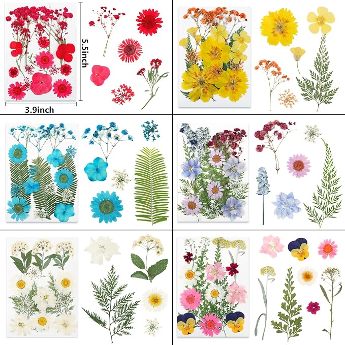 NESCCI 428 Pcs Dried Pressed Flowers - Image 3