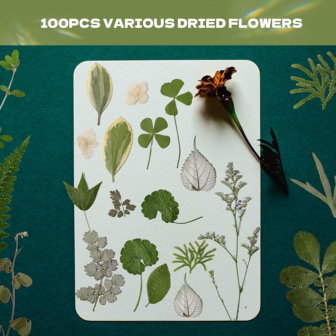 63 Pcs Pressed Leaves, 21 Styles Dried Flowers - Image 2