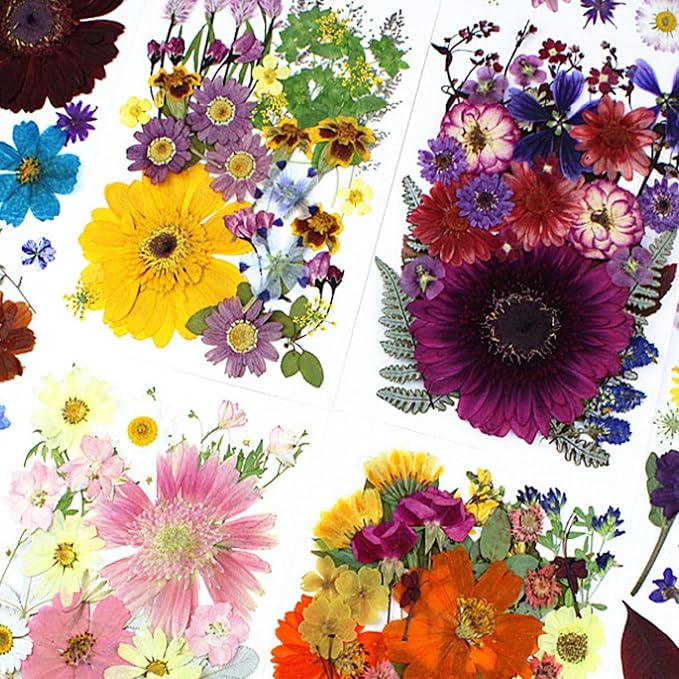 35Pcs Dried Pressed Flowers for Crafts Resin DIY Art Natural Dry Floral Large - Image 4