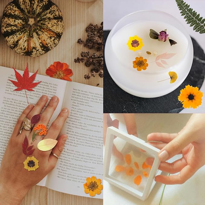 Dried Flowers | 68Pcs Fall Pressed Flower - Image 6