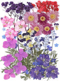 11 Types 46pcs Real Dried Pressed Flowers Leaf Plant Herbarium by AHTONG