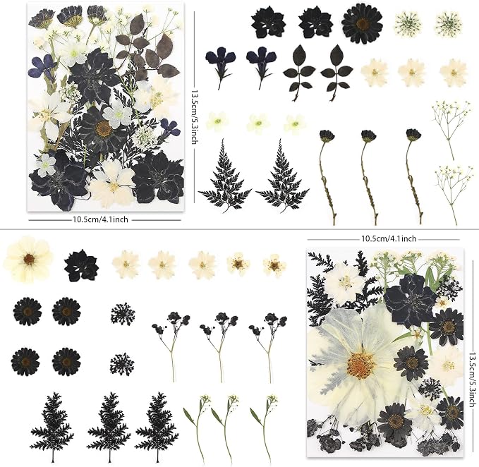 LUXEEASE 90P Halloween Black & White Dried Pressed Flowers | Gothic elegant - Image 2