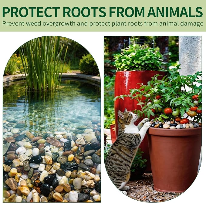 Small Rocks for Plants，3/8" Small Pebbles，1lbs Small River Rocks Decorative Pea - Image 5