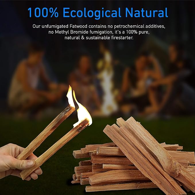 EasyGoProducts Eco-Stix Fatwood Fire Starter Kindling Firewood Sticks 100% Organic Firestarter for Wood Stoves, Fireplaces, Campfires, Bonfires - 02 Pounds