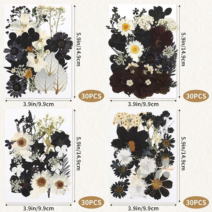 Augshy Black Dried Pressed Flowers, Scrapbooking, Soap Making - Image 2