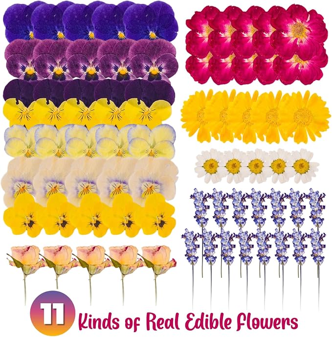 70 Pcs 11kinds Edible Dried Pressed Flowers - Image 3