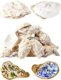 30Pcs Oyster Shells for Crafts， 4"-5" Large Oyster Shell for Crafts，Oyster by Unknown