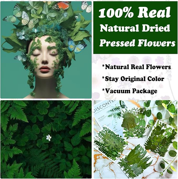136Pcs Pressed Dried Leaves and Butterfly - Image 2