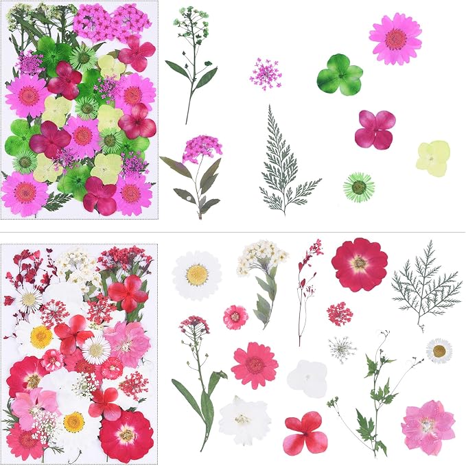 141Pcs Colorful Dried Pressed Flowers - Image 4