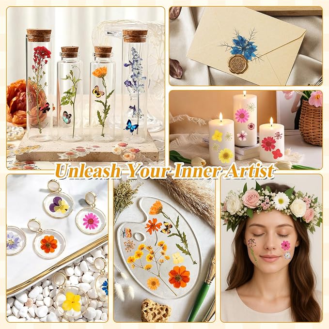 Dried Flowers for Crafts, Card Making, Nail Art, Scrapbooking - Image 6