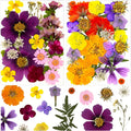 46Pcs Pressed Dried Flowers Real Natural Leave by LUCISKY