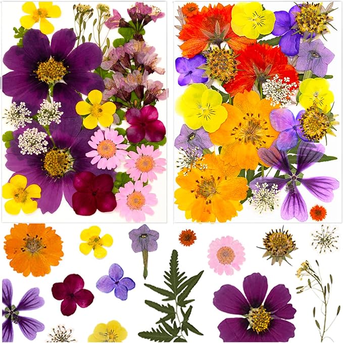 46Pcs Pressed Dried Flowers Real Natural Leave by LUCISKY