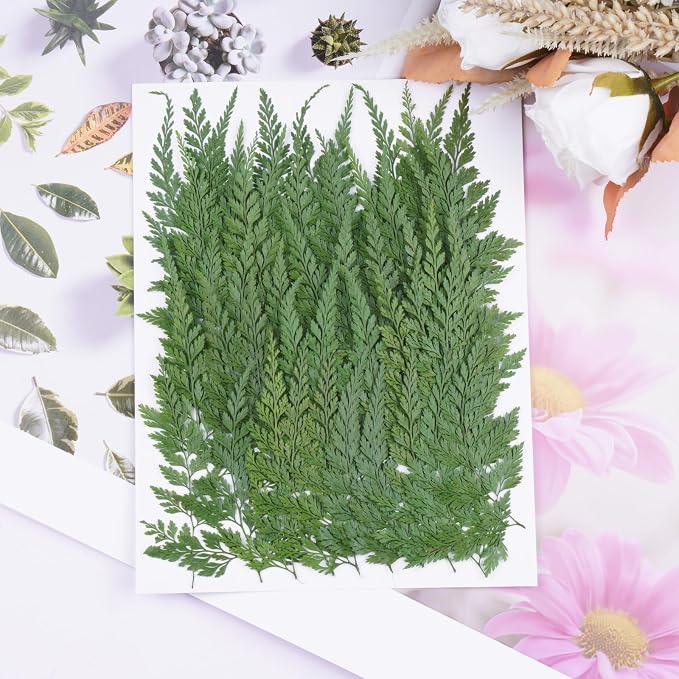 50Pcs Green Leaves Dried Pressed Flowers - Image 4