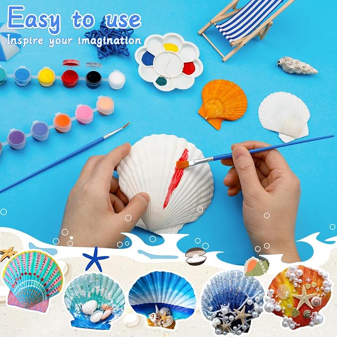 10 PCS Scallop Shells, Seashells - Image 4