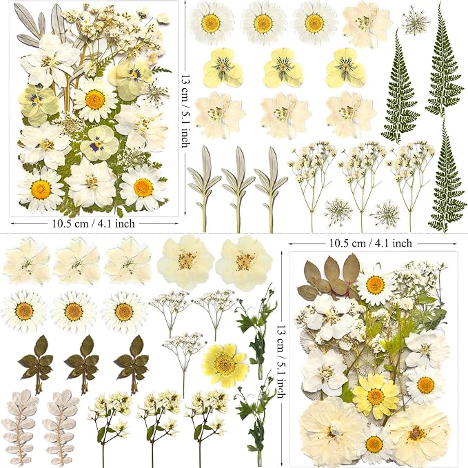 MIKIYA 90Pcs White Dried Pressed Flowers - Image 6