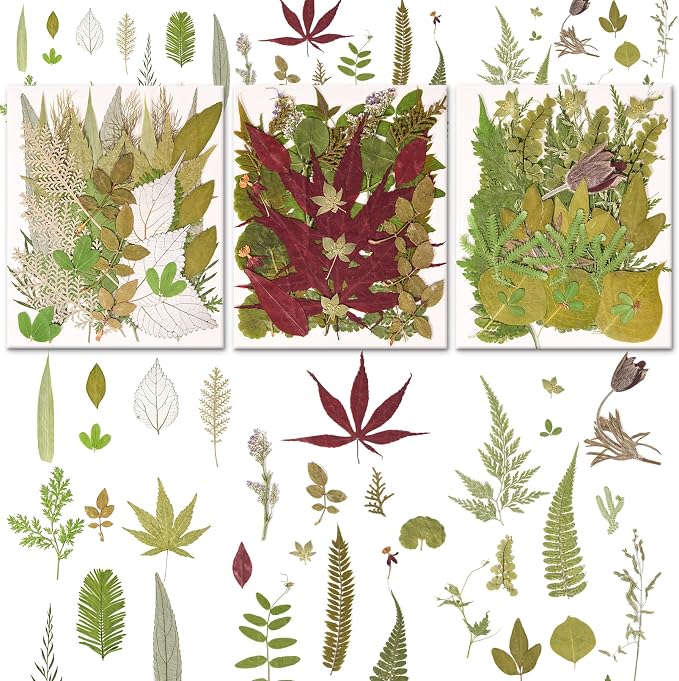 100 PCS Real Pressed Dried Leaves by Cokosing