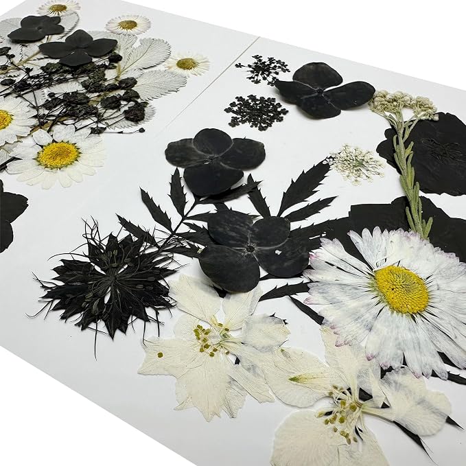 Woohome 4 Pack Dried Flowers for Resin Molds - Image 3