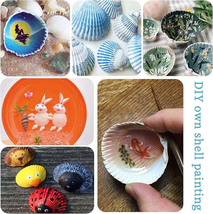 QEQEKAKA 30PCS Sea Shells for Crafts1.5''-2'' White Small Seashells Clam - Image 3