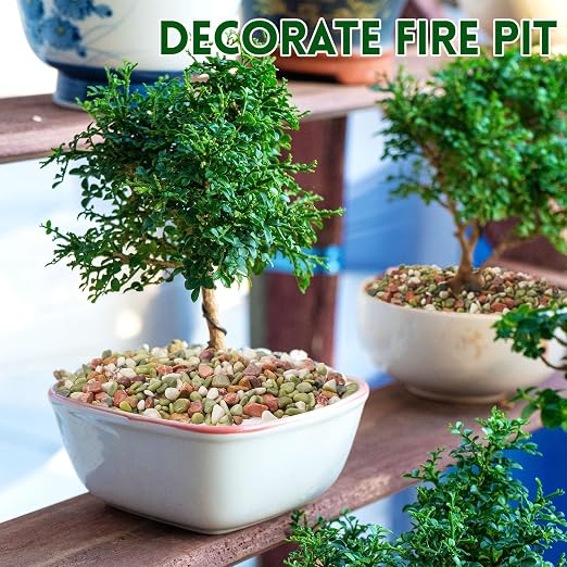 10 lb Pebbles for Indoor Plants, 1/2 Inch Decorative Rocks for Potted Plants - Image 4