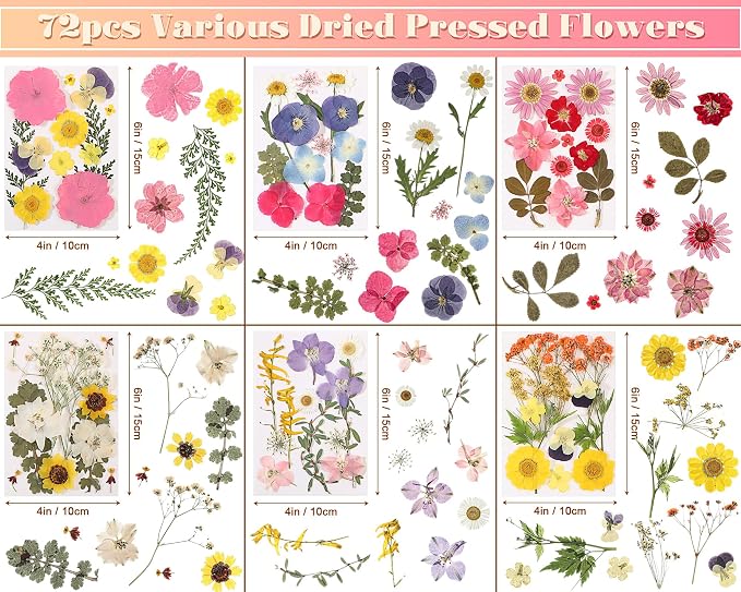 eBoot 72 Pcs Dried Pressed Flowers - Image 2
