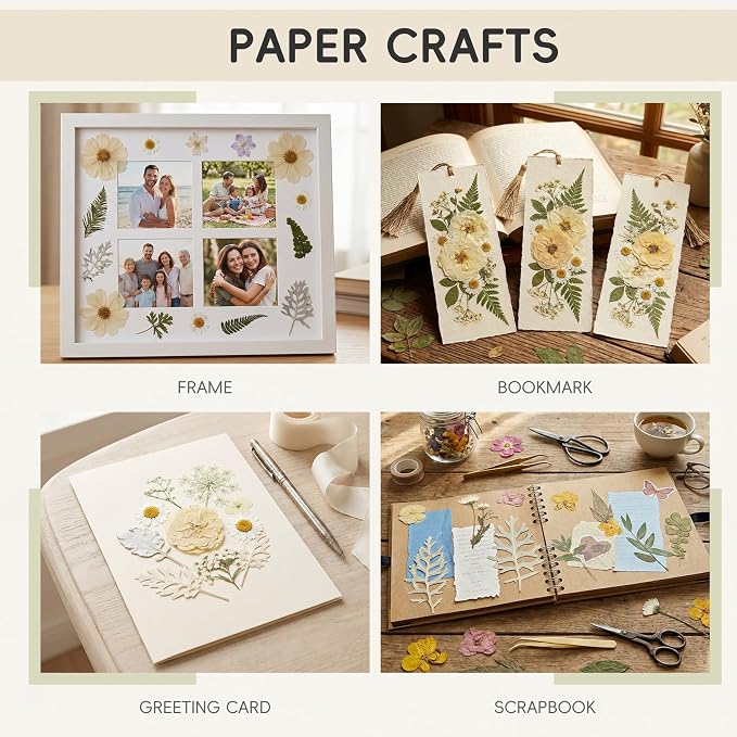 LUXEEASE 100P White Foliage Mix Dried Pressed Flowers | Blooms - Image 5