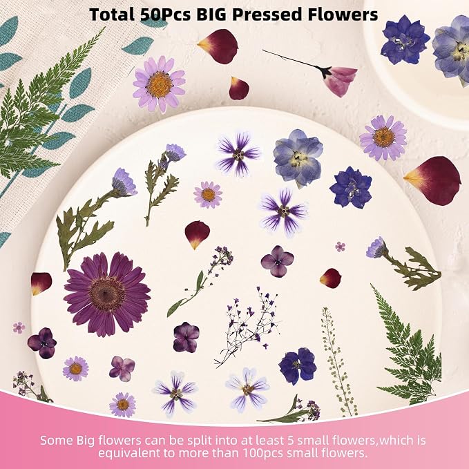 12“ Large Bulk Dried Pressed Flowers - Image 4