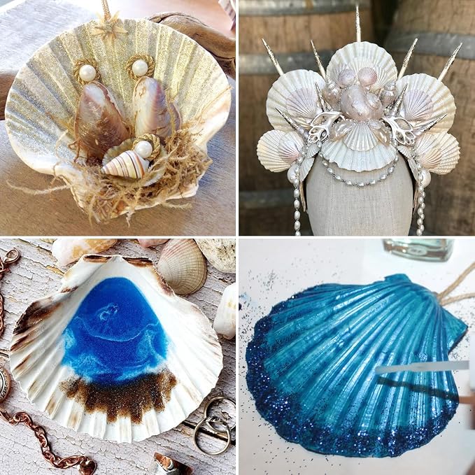 QEQEKAKA 6PCS Large Scallop Shells - Image 6