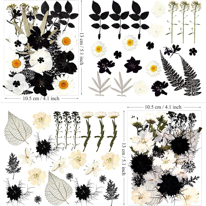 MIKIYA 90Pcs Black Pressed Dried Flowers - Image 5
