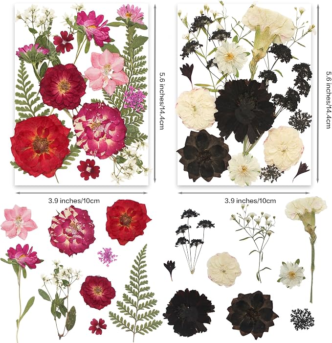 140Pcs Multi-Style Dried Pressed Flowers & Leaves - Image 3