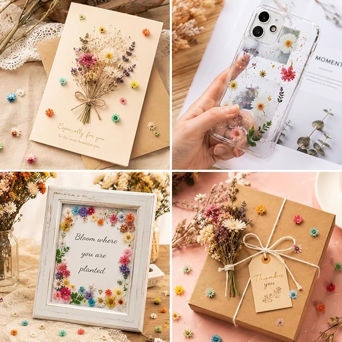 300 Pcs Mini Dried Flowers for Resin, Small Dried Flowers for Crafts Resin Nails - Image 6