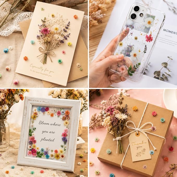 1000 Pcs Mini Dried Flowers for Resin, Small Dried Flowers for Crafts Resin - Image 6