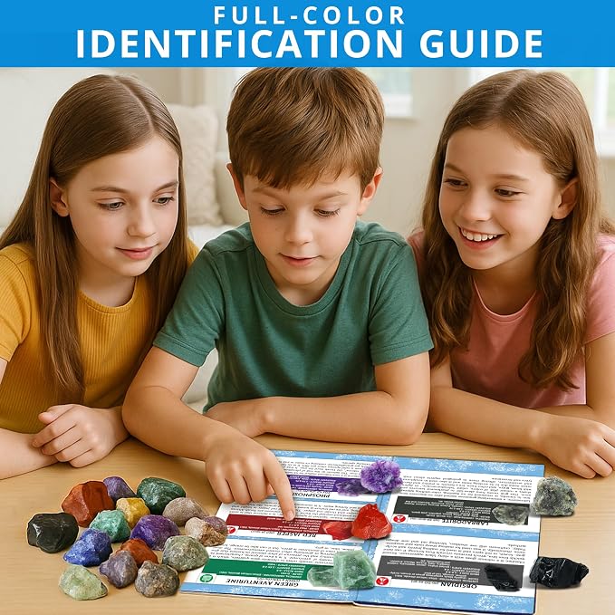 PIBEX Jumbo Rock Collection Kit - Image 5