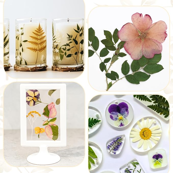 Aboofx Microwave Flower Press 6.3" 3 Layers Fast Drying Pressed Flower Art Kit - Image 5