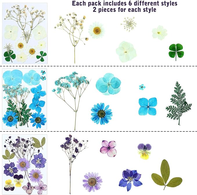 eBoot 72 Pcs Dried Pressed Flowers - Image 3