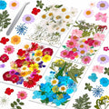 153 Pcs Dried Pressed Flowers Leaves by Evatage