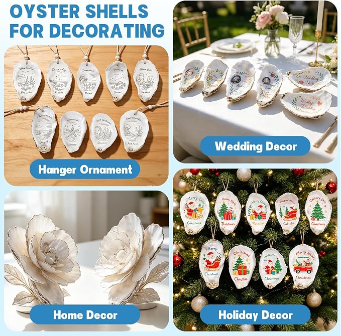 30PCS 3"-4" Flat Oyster Shells, Natural Seashells - Image 4