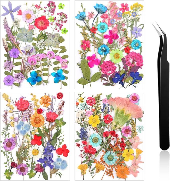 Nuanchu Small Dried Flower for Craft Resin Mini Pressed Flowers Bulk Real Tiny by Nuanchu