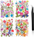 Nuanchu Small Dried Flower for Craft Resin Mini Pressed Flowers Bulk Real Tiny by Nuanchu