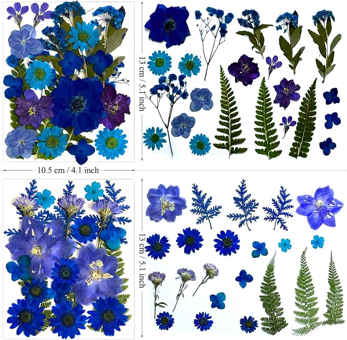 132Pcs Blue Pressed Dried Flowers and Butterfly - Image 5