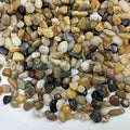 FANTIAN 2 Pounds Pebbles for Plants, 3/8 Inch Polished Pea Gravel. Decorative by FANTIAN-GardeningMakesLifeBetter