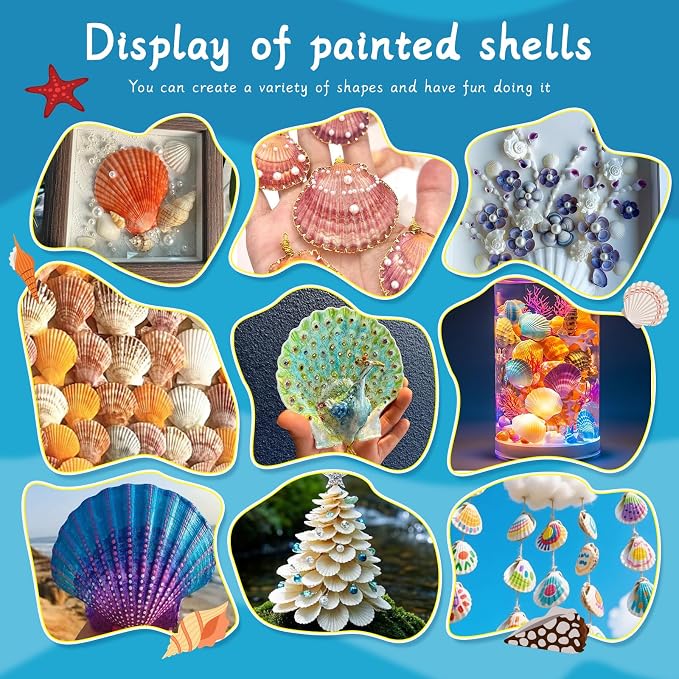10 PCS Scallop Shells, Seashells - Image 7