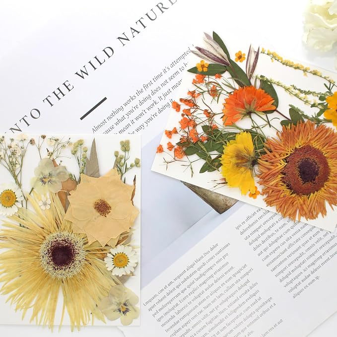 34 Types 60PCS Real Dried Pressed Flowers Leaf Plant Herbarium - Image 5