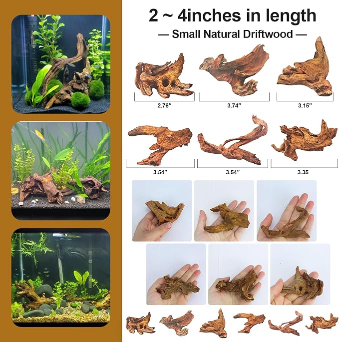 Natural Driftwood Decor for Aquarium Decorations Reptile Tank Accessories - Image 6